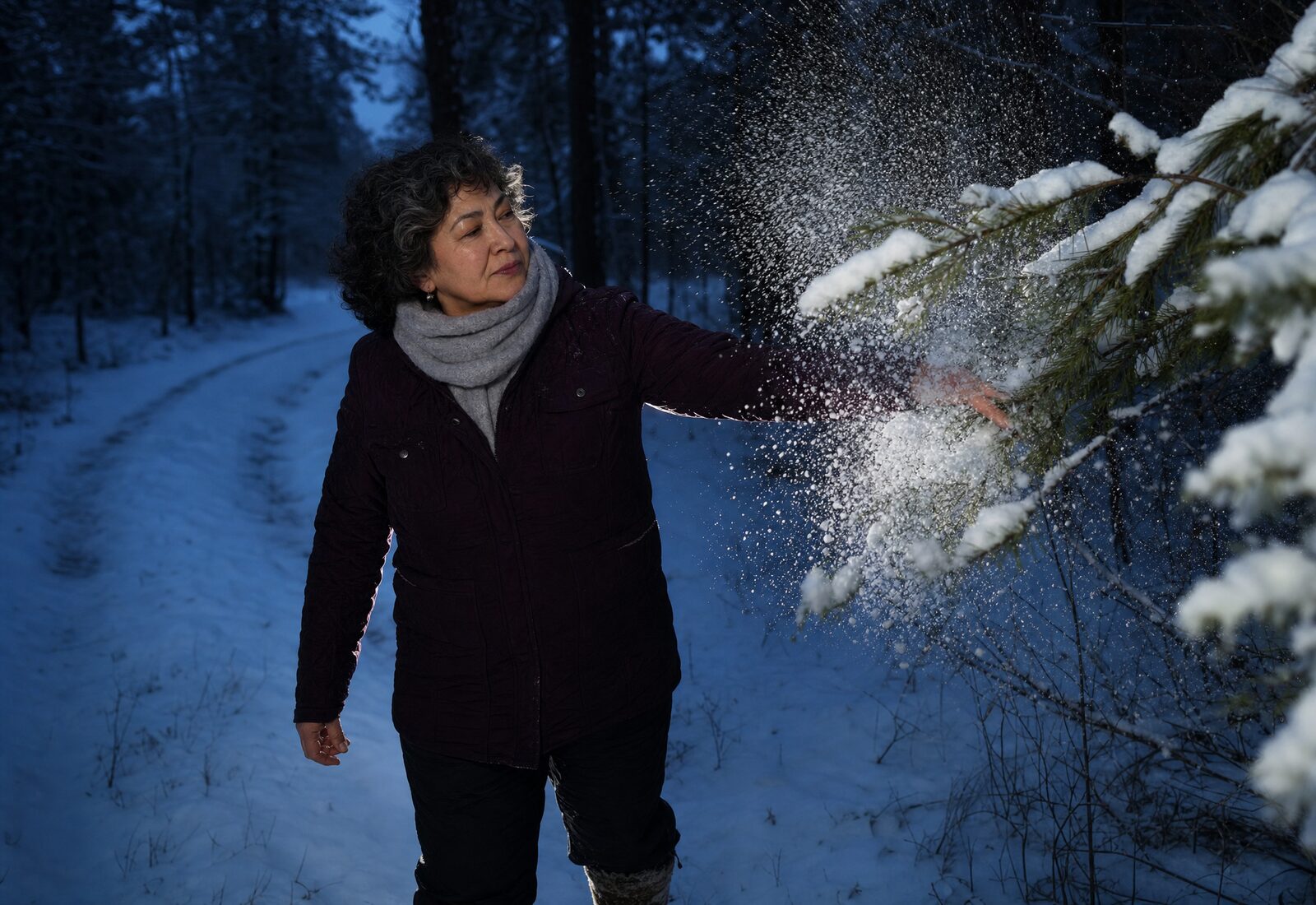 Движение по заснеженной лесной дорожке, поднятые хлопья снега и низкий зимний свет. Серия «Северный лес», Москва, 14 февраля 2026.